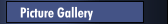 Picture Gallery