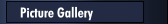 Picture Gallery
